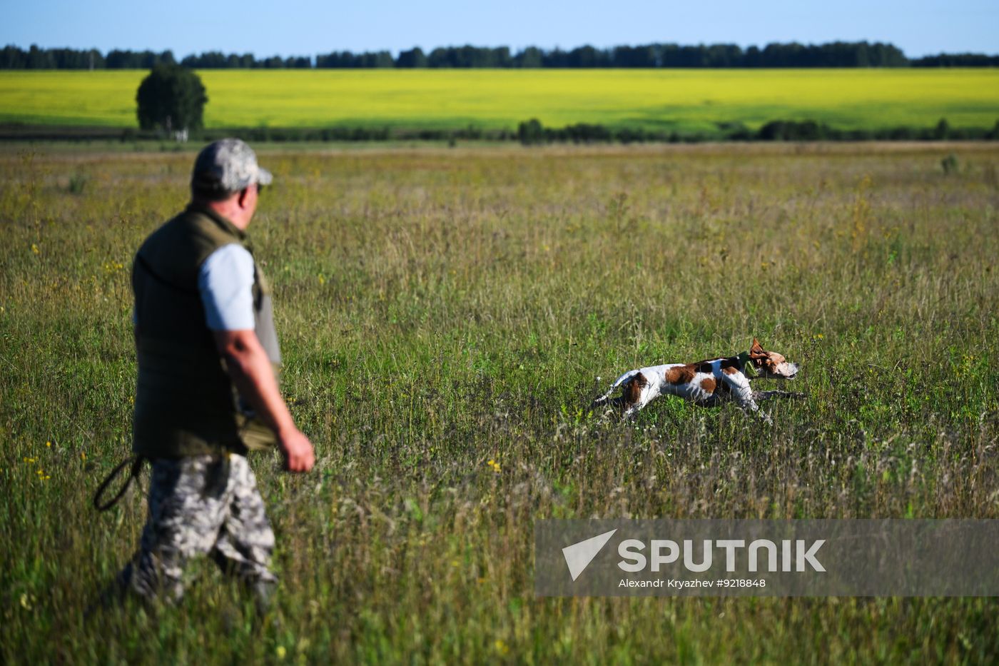 Russia Pointing Dog Competitions
