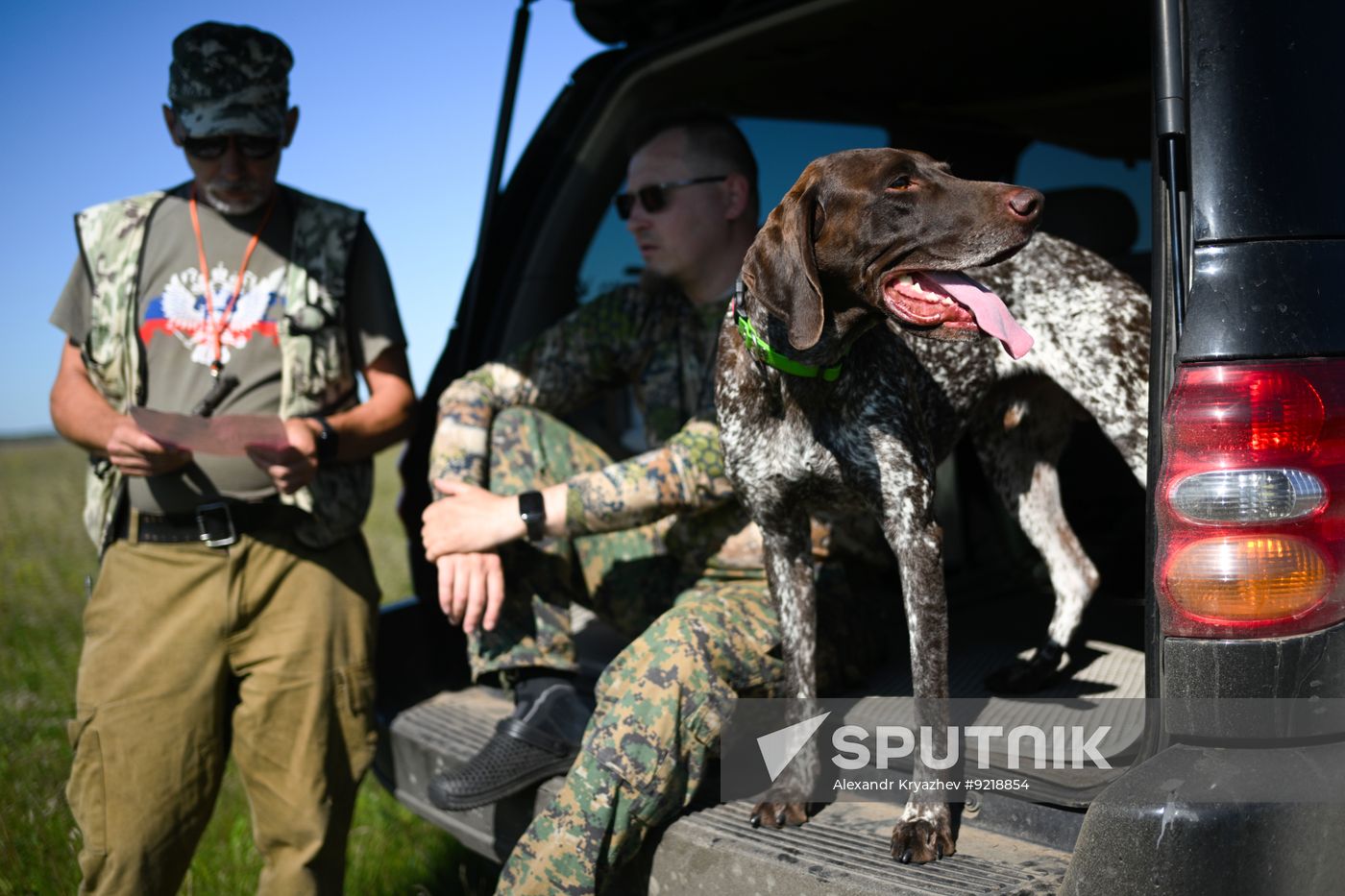 Russia Pointing Dog Competitions