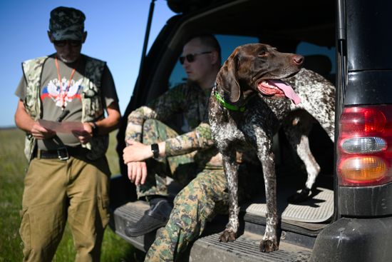 Russia Pointing Dog Competitions
