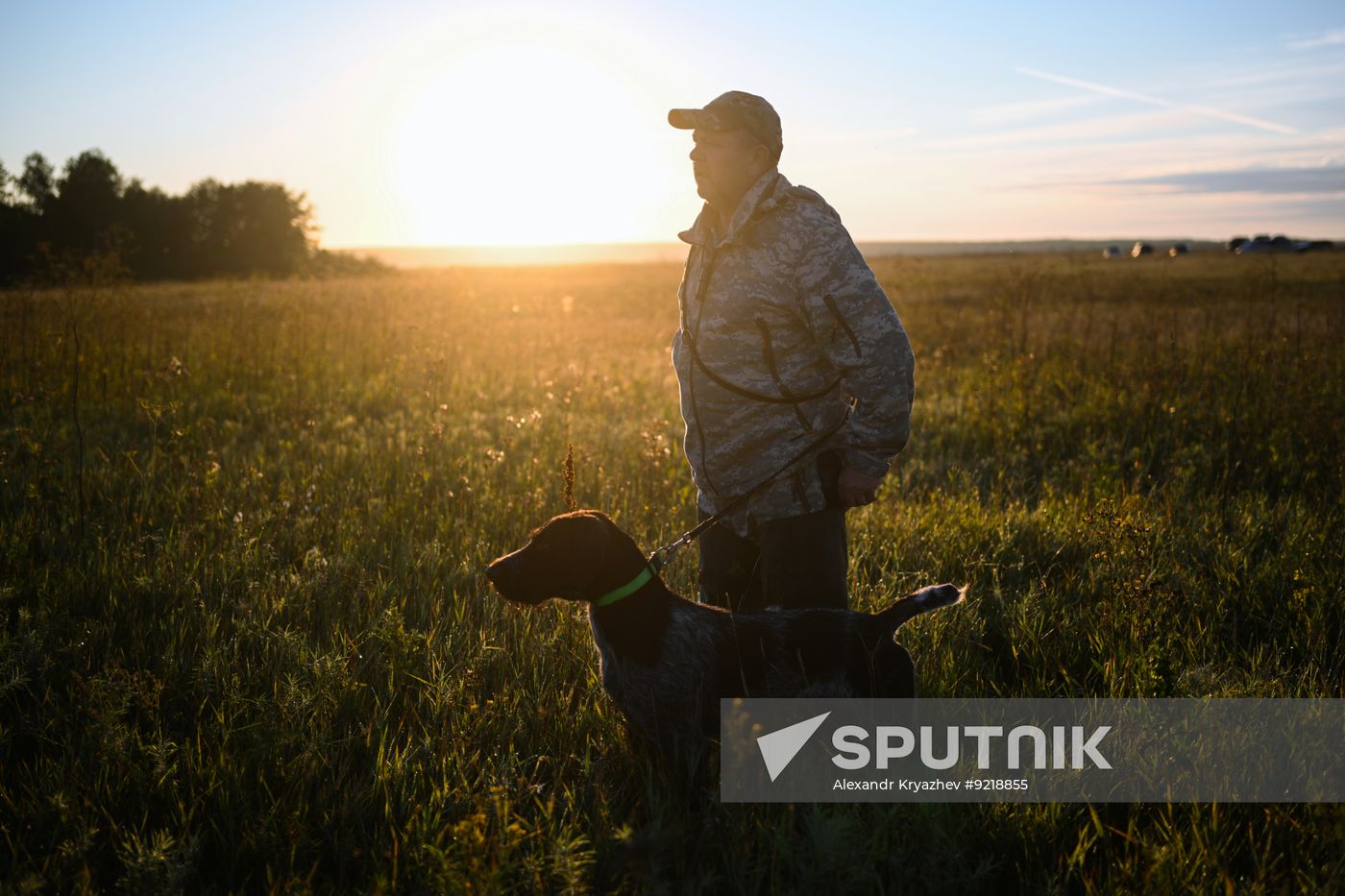 Russia Pointing Dog Competitions