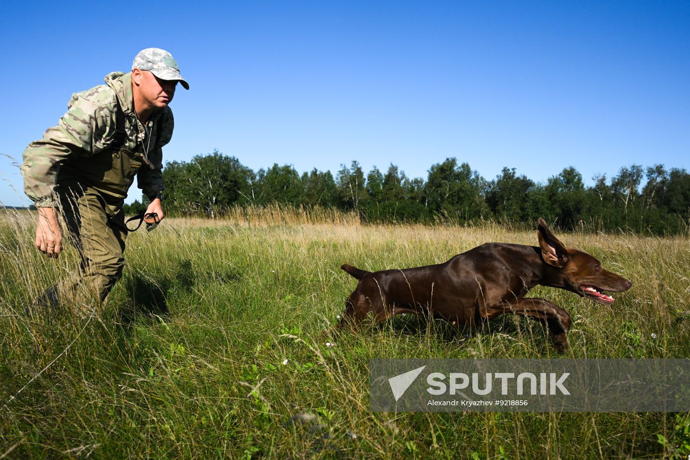 Russia Pointing Dog Competitions