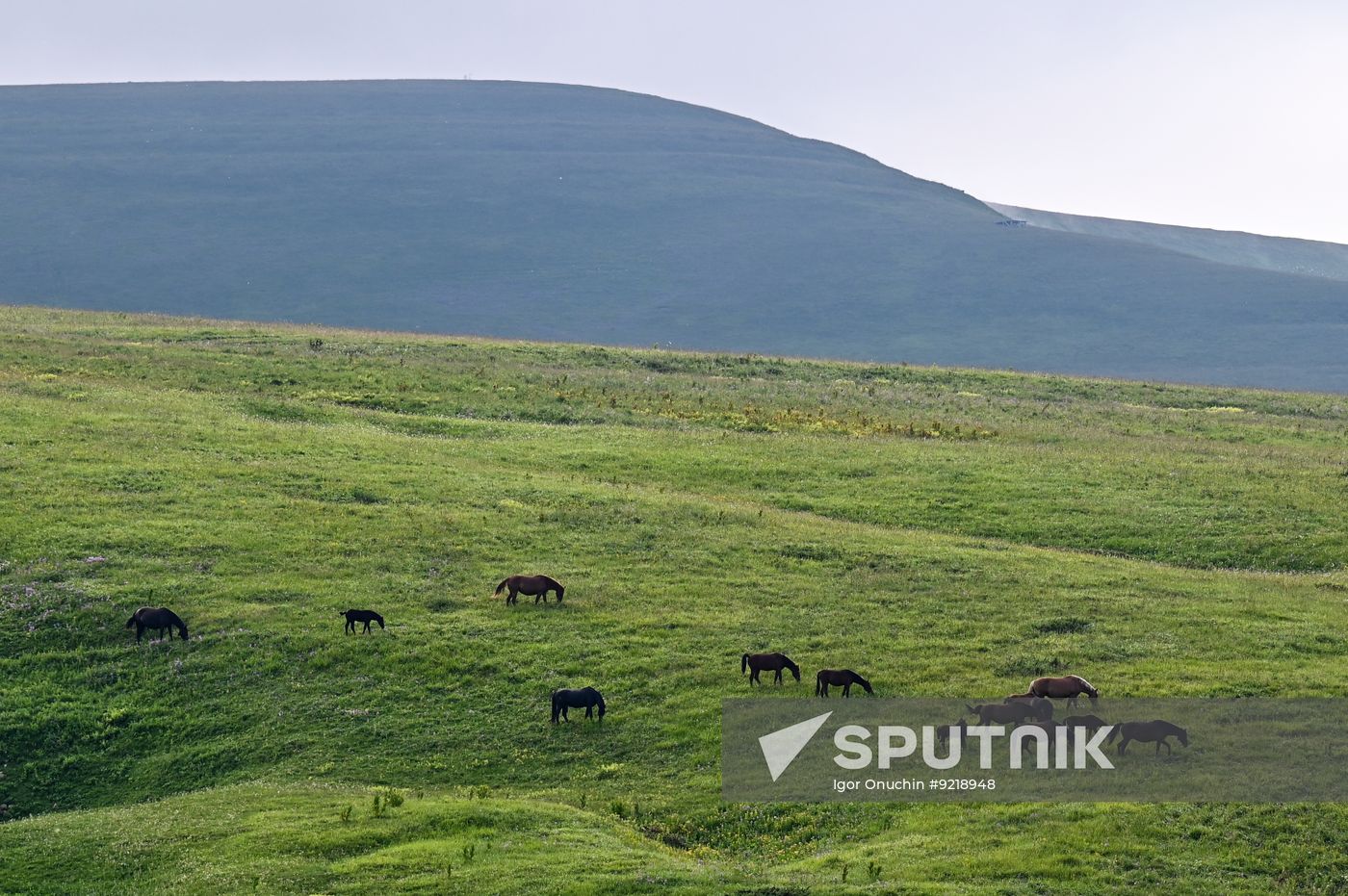 Russia Tourism