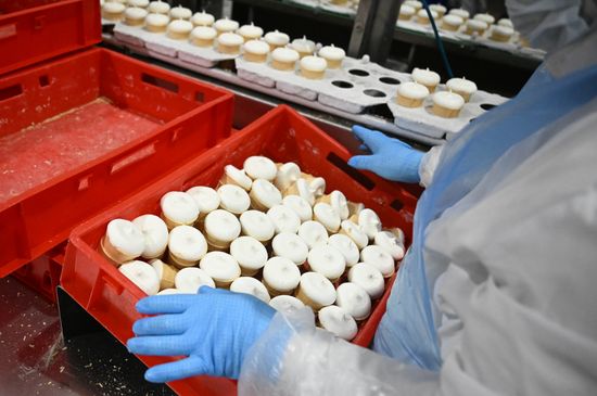 Russia Food Industry