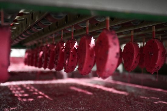 Russia Food Industry