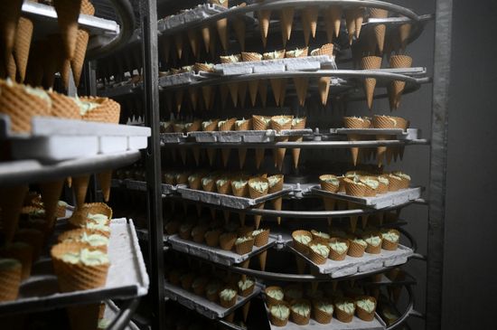 Russia Food Industry