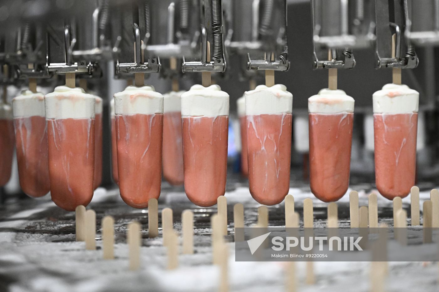 Russia Food Industry