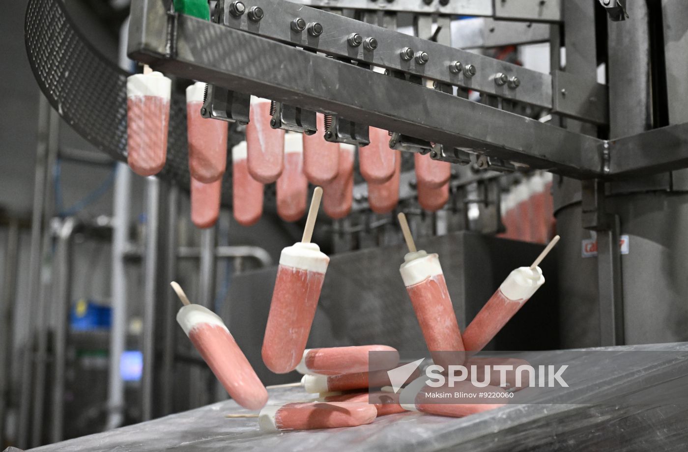 Russia Food Industry