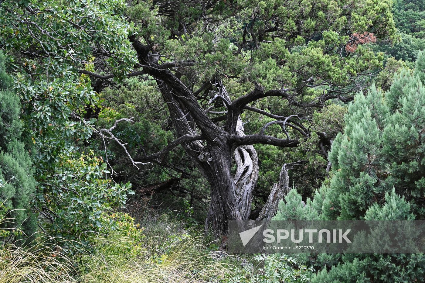 Russia Environment Utrish Nature Reserve