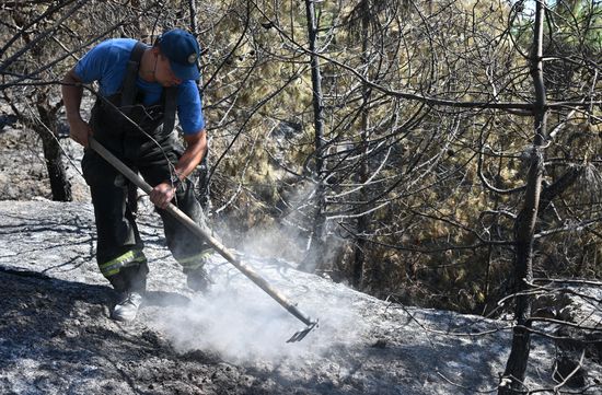 Russia Crimea Wildfires
