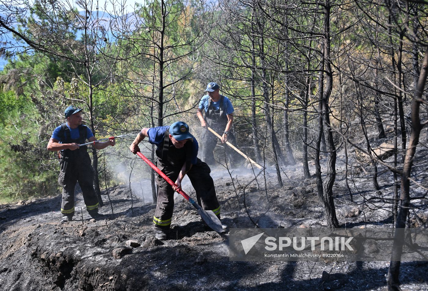 Russia Crimea Wildfires