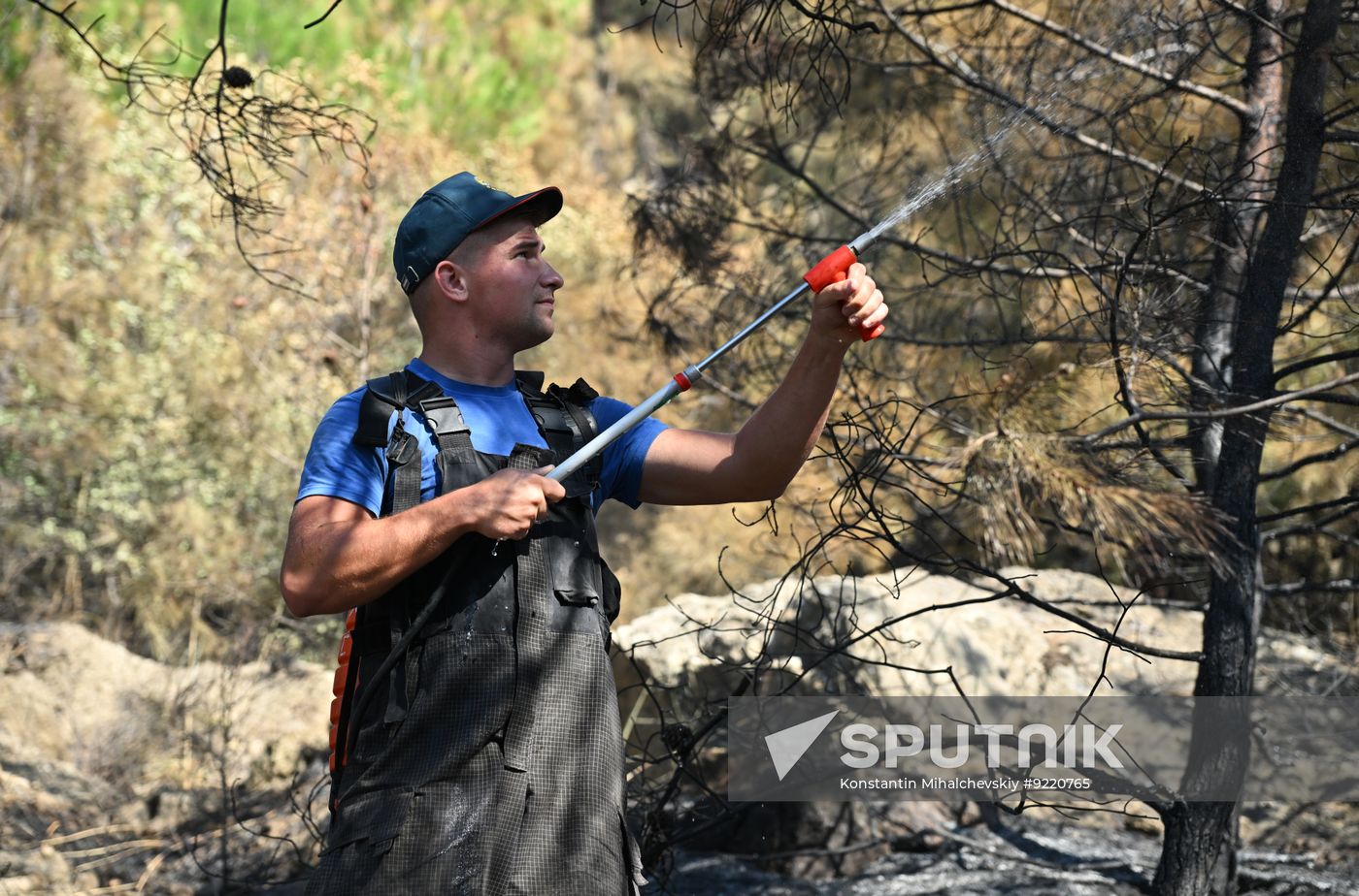 Russia Crimea Wildfires