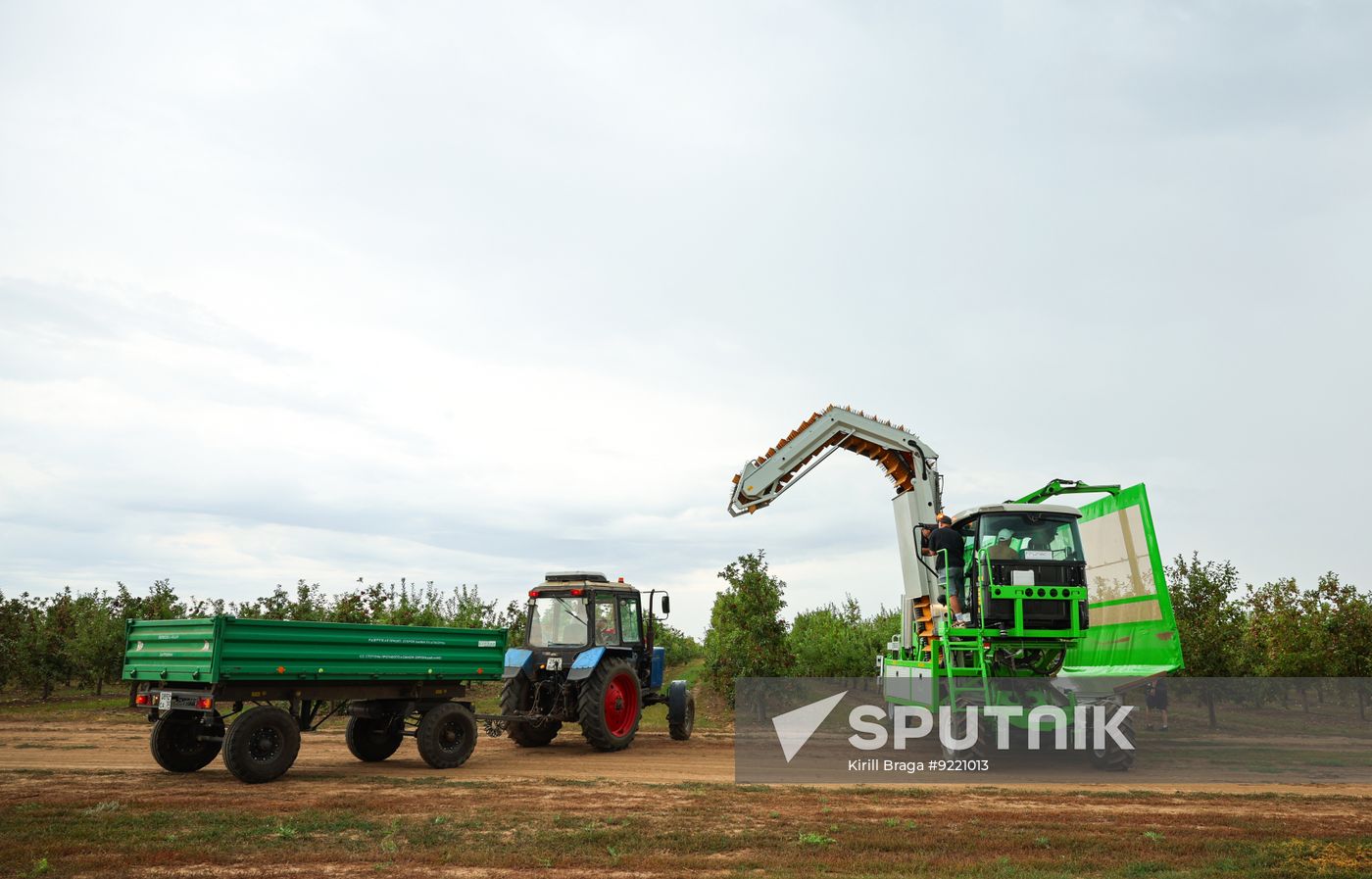 Russia Agriculture Apple Harvesting