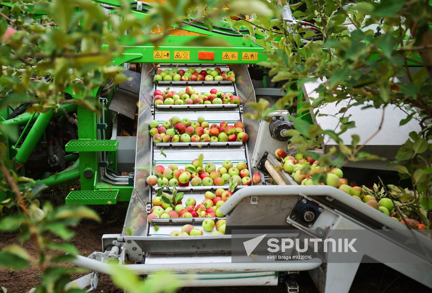 Russia Agriculture Apple Harvesting