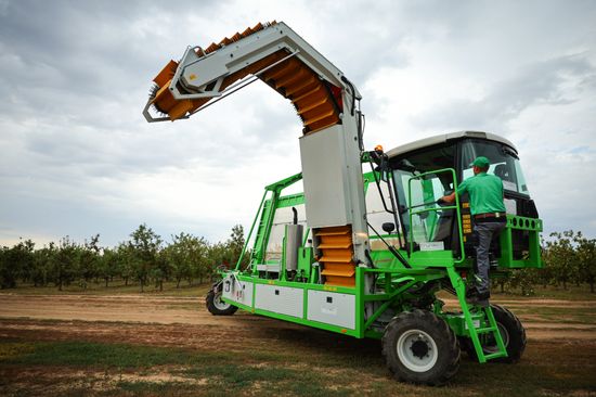 Russia Agriculture Apple Harvesting