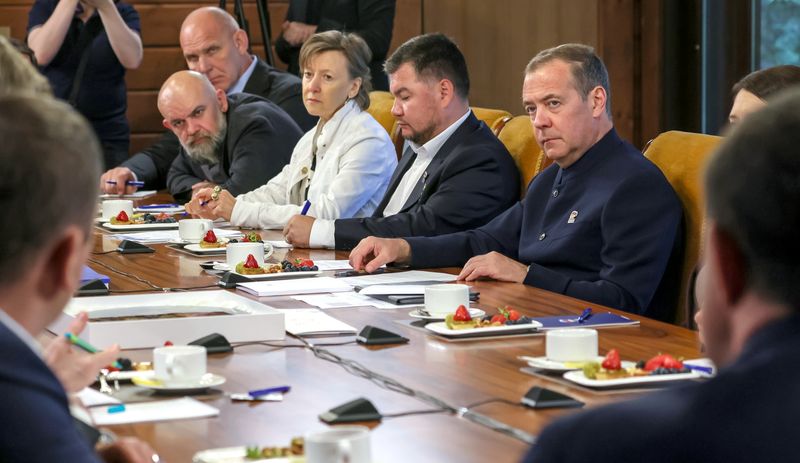 Russia Medvedev UR Party Expert Council