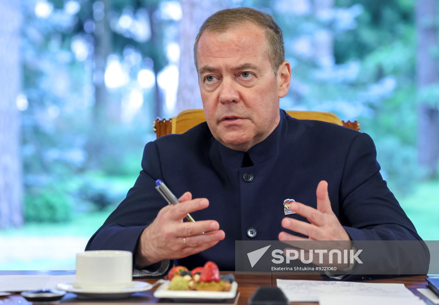 Russia Medvedev UR Party Expert Council