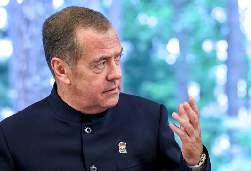 Russia Medvedev UR Party Expert Council