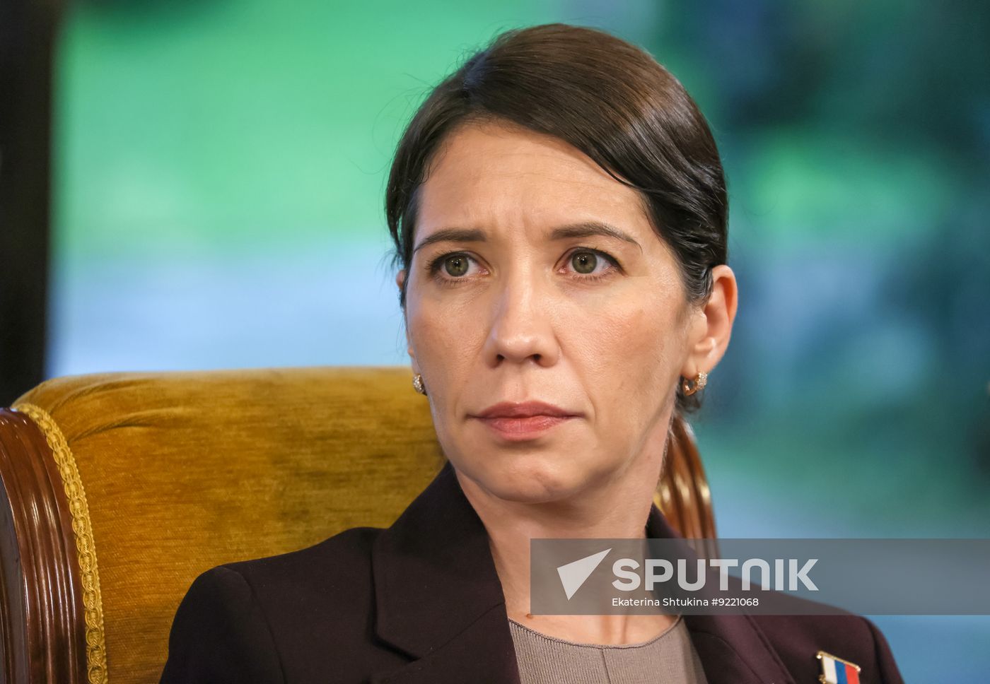 Russia Medvedev UR Party Expert Council