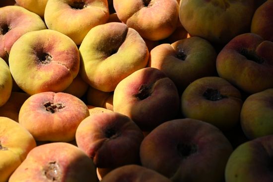 Russia Agriculture Peach Harvesting