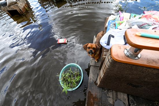 Russia Floods