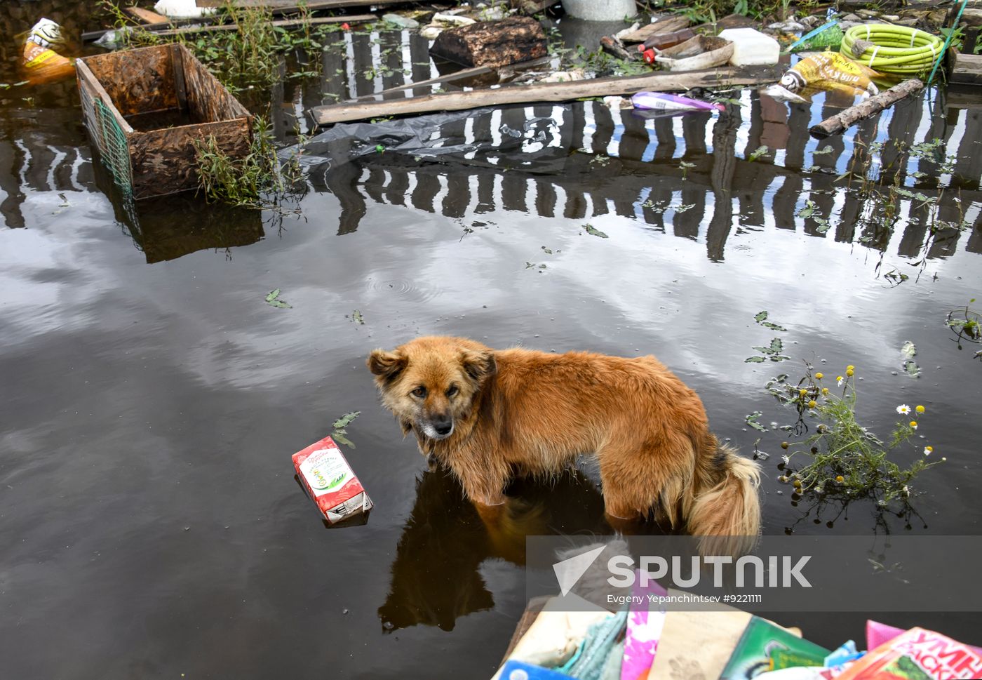 Russia Floods