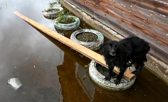 Russia Floods