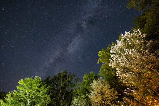 Russia Perseid Meteor Shower