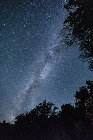 Russia Perseid Meteor Shower