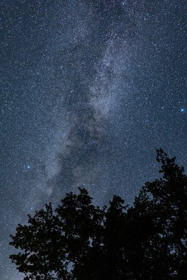Russia Perseid Meteor Shower