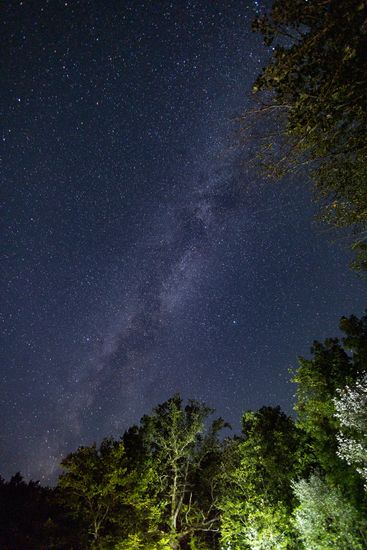 Russia Perseid Meteor Shower
