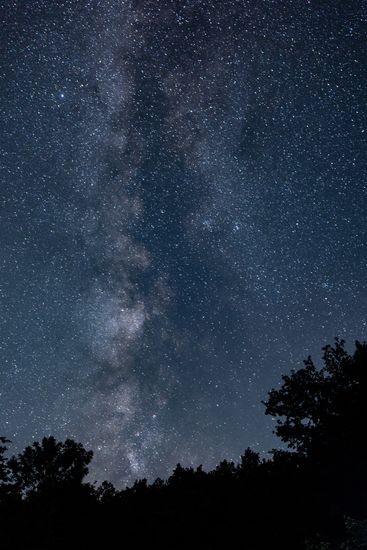 Russia Perseid Meteor Shower