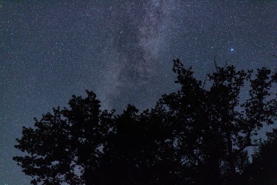 Russia Perseid Meteor Shower