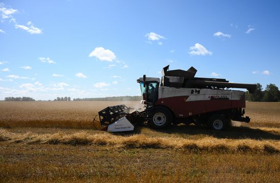 Russia Agriculture Grain Harvesting