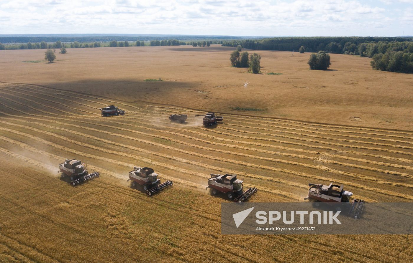Russia Agriculture Grain Harvesting