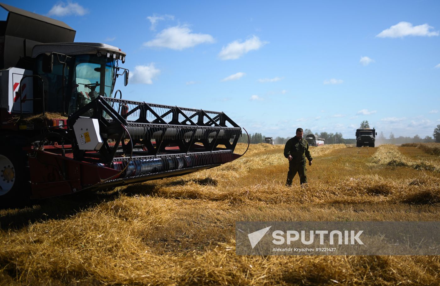 Russia Agriculture Grain Harvesting