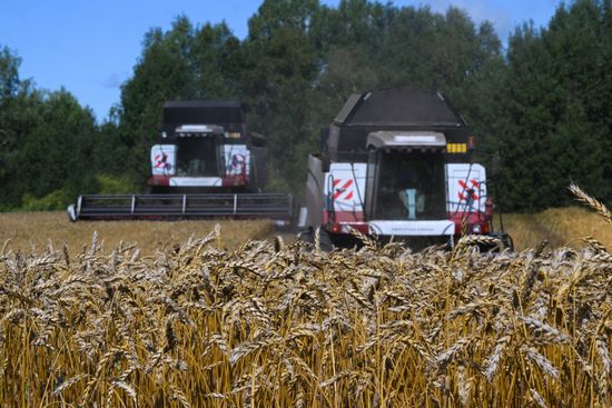 Russia Agriculture Grain Harvesting