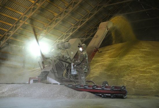 Russia Agriculture Grain Harvesting