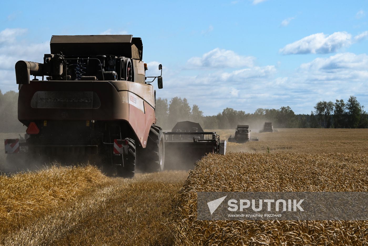 Russia Agriculture Grain Harvesting