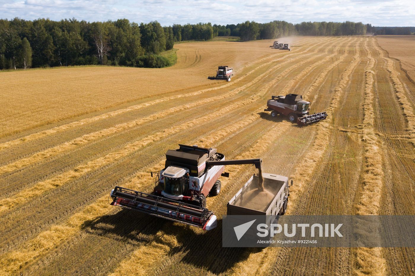 Russia Agriculture Grain Harvesting