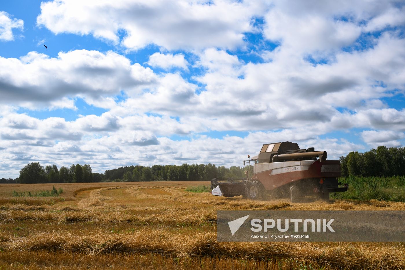 Russia Agriculture Grain Harvesting