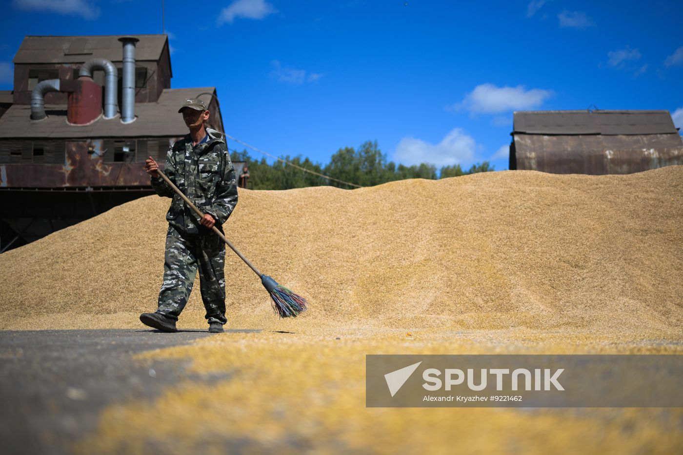Russia Agriculture Grain Harvesting