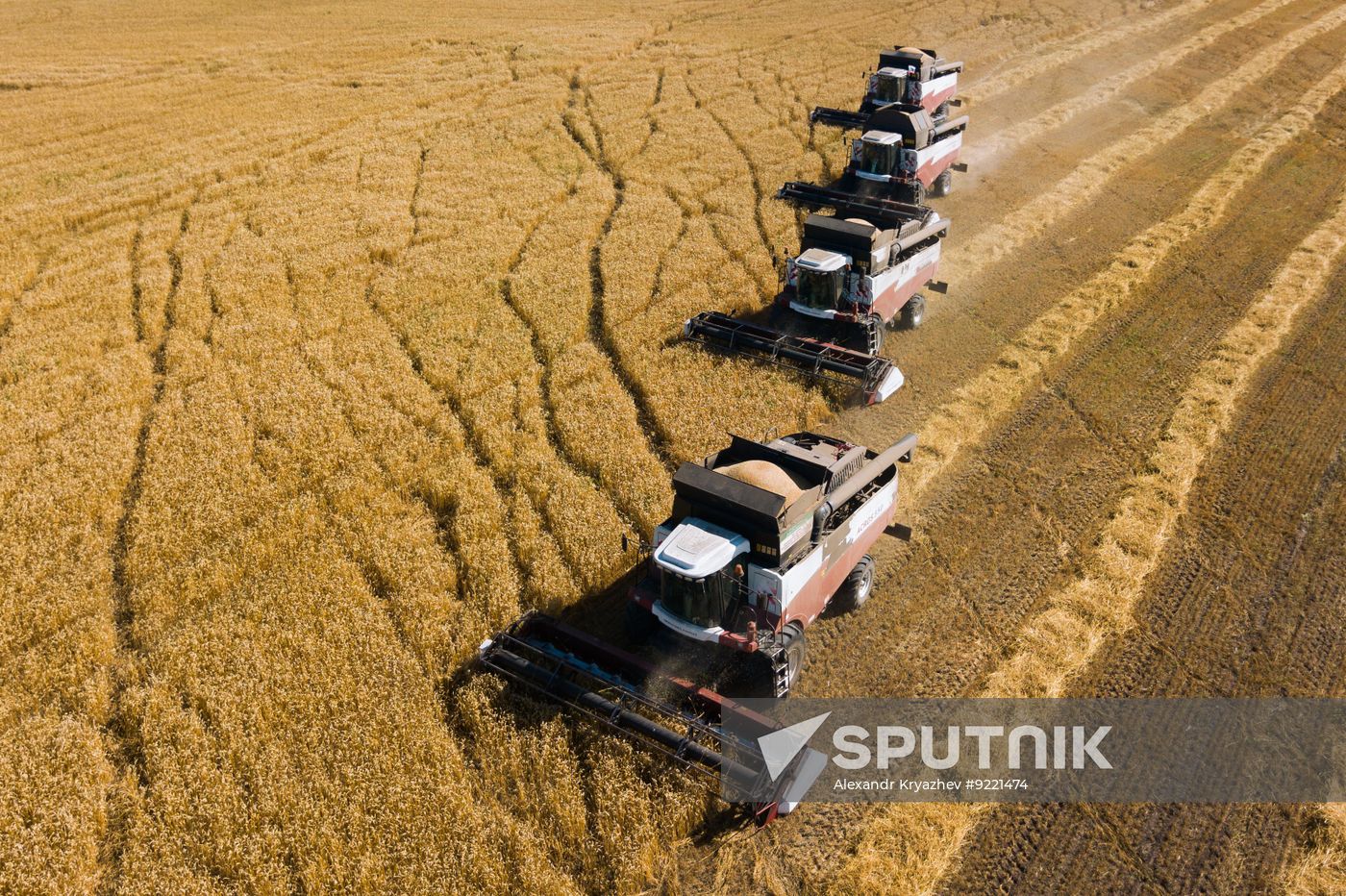 Russia Agriculture Grain Harvesting