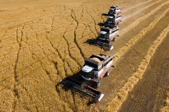Russia Agriculture Grain Harvesting