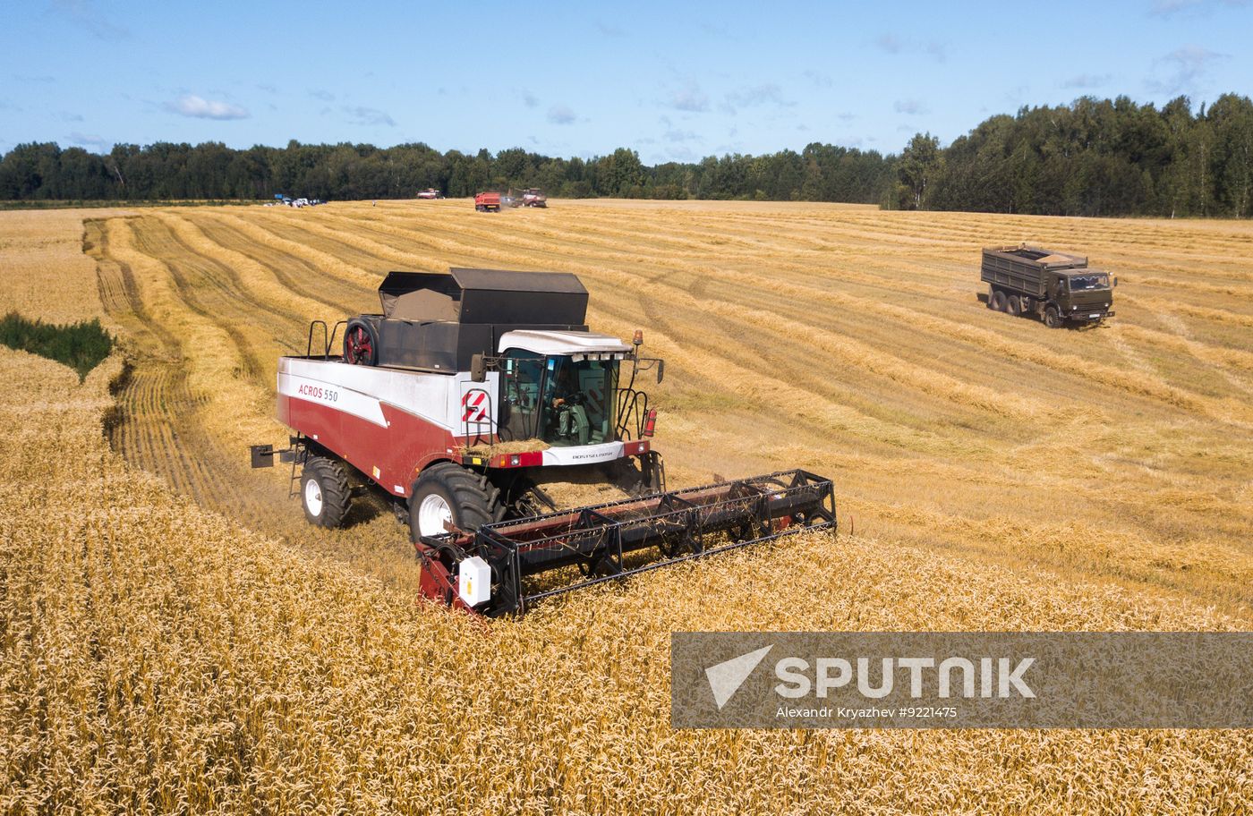Russia Agriculture Grain Harvesting