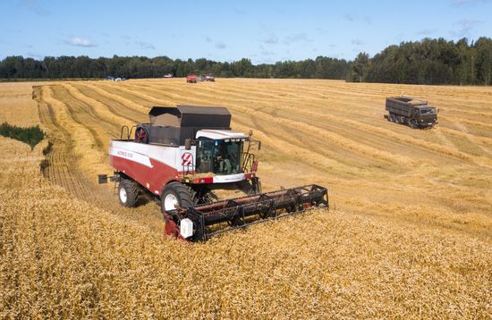 Russia Agriculture Grain Harvesting