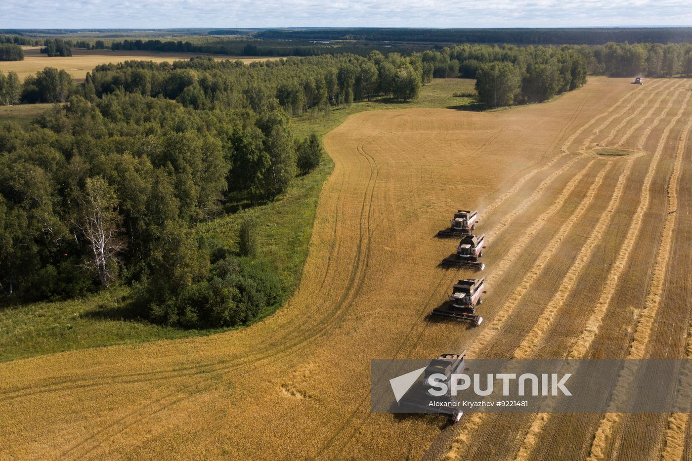 Russia Agriculture Grain Harvesting