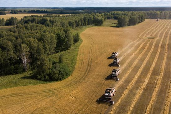 Russia Agriculture Grain Harvesting
