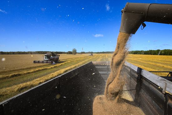 Russia Agriculture Grain Harvesting