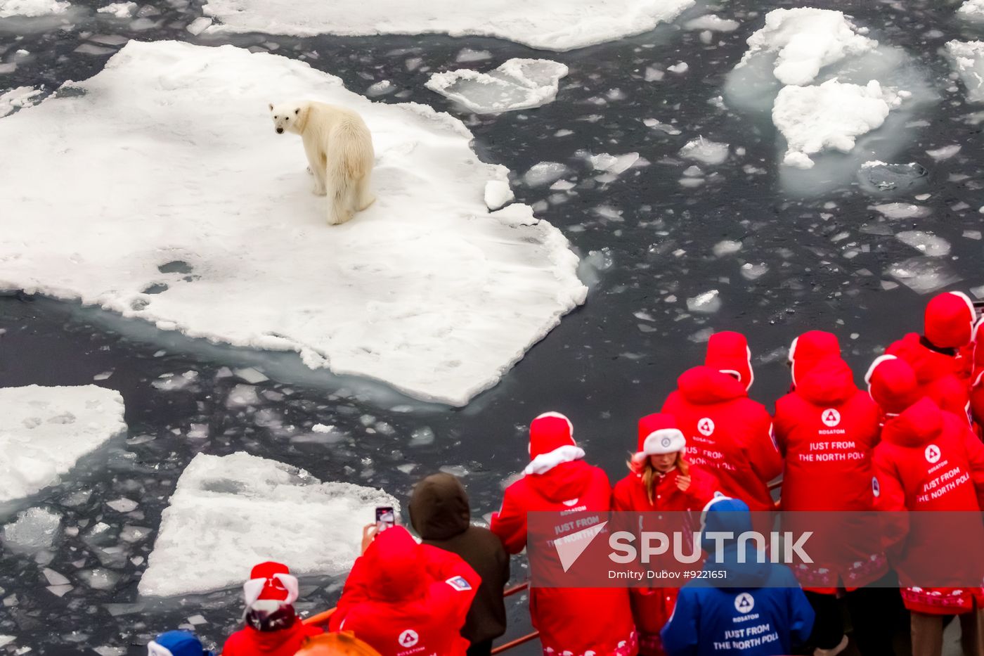 Russia North Pole Icebreaker Expedition