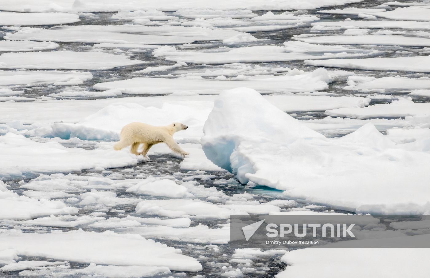 Russia North Pole Icebreaker Expedition